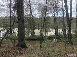 60 Smilax