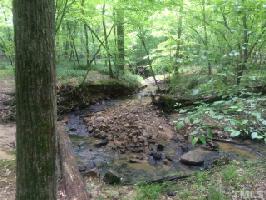 437 Dragonfly Trail