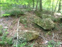 443 Dragonfly Trail