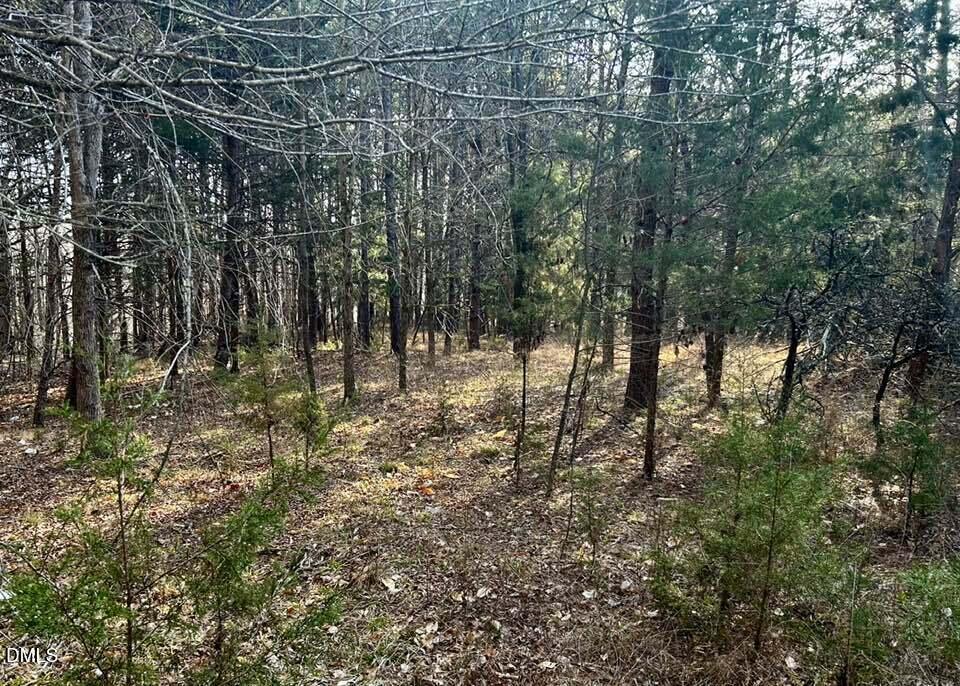 Image 4: 647144080_3341944979316503_4664714413130