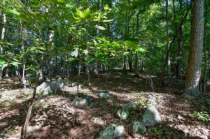 Lot 26 Mountain Brook Road