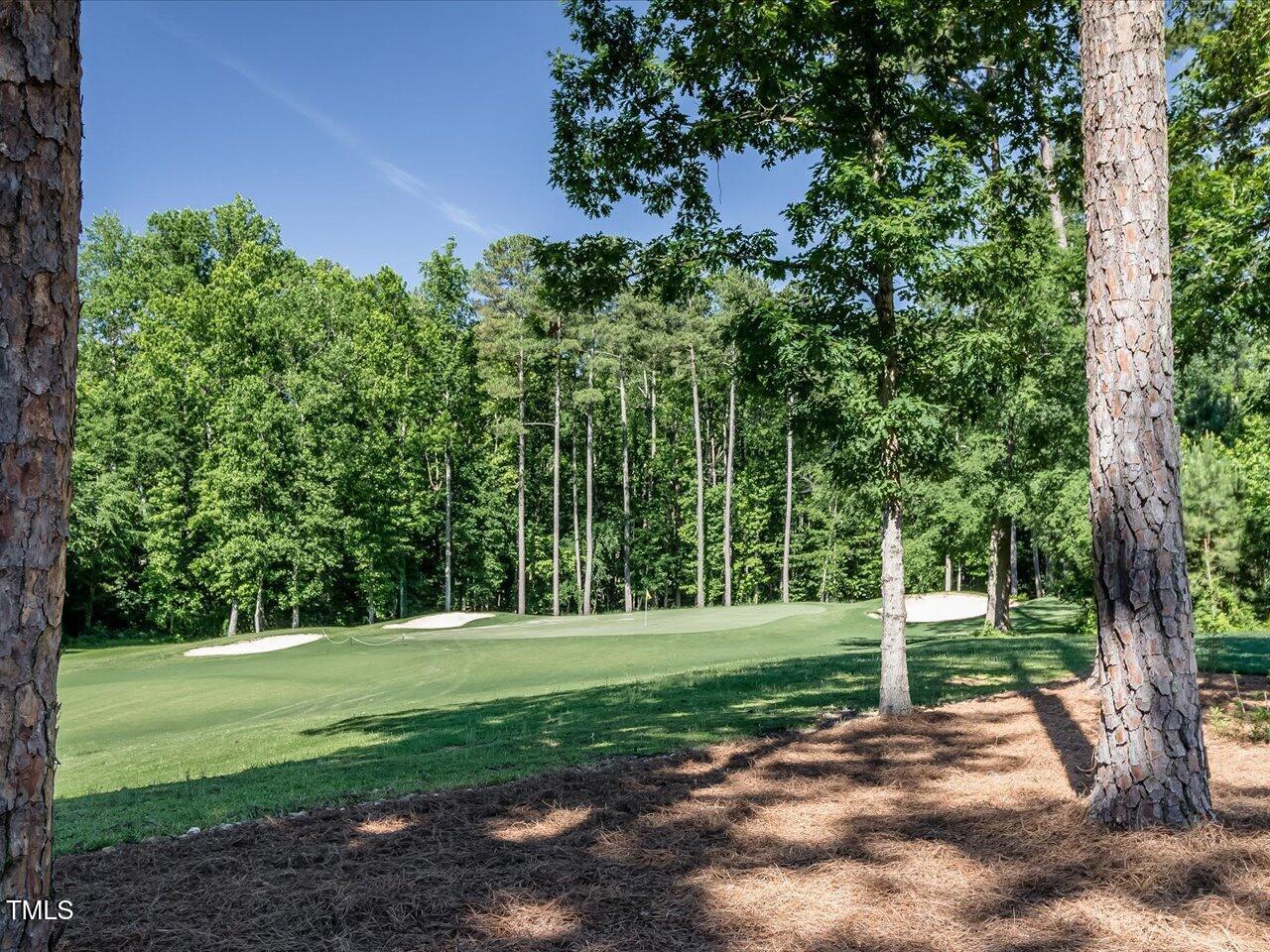 Image 3: 101-On Site Golf Course