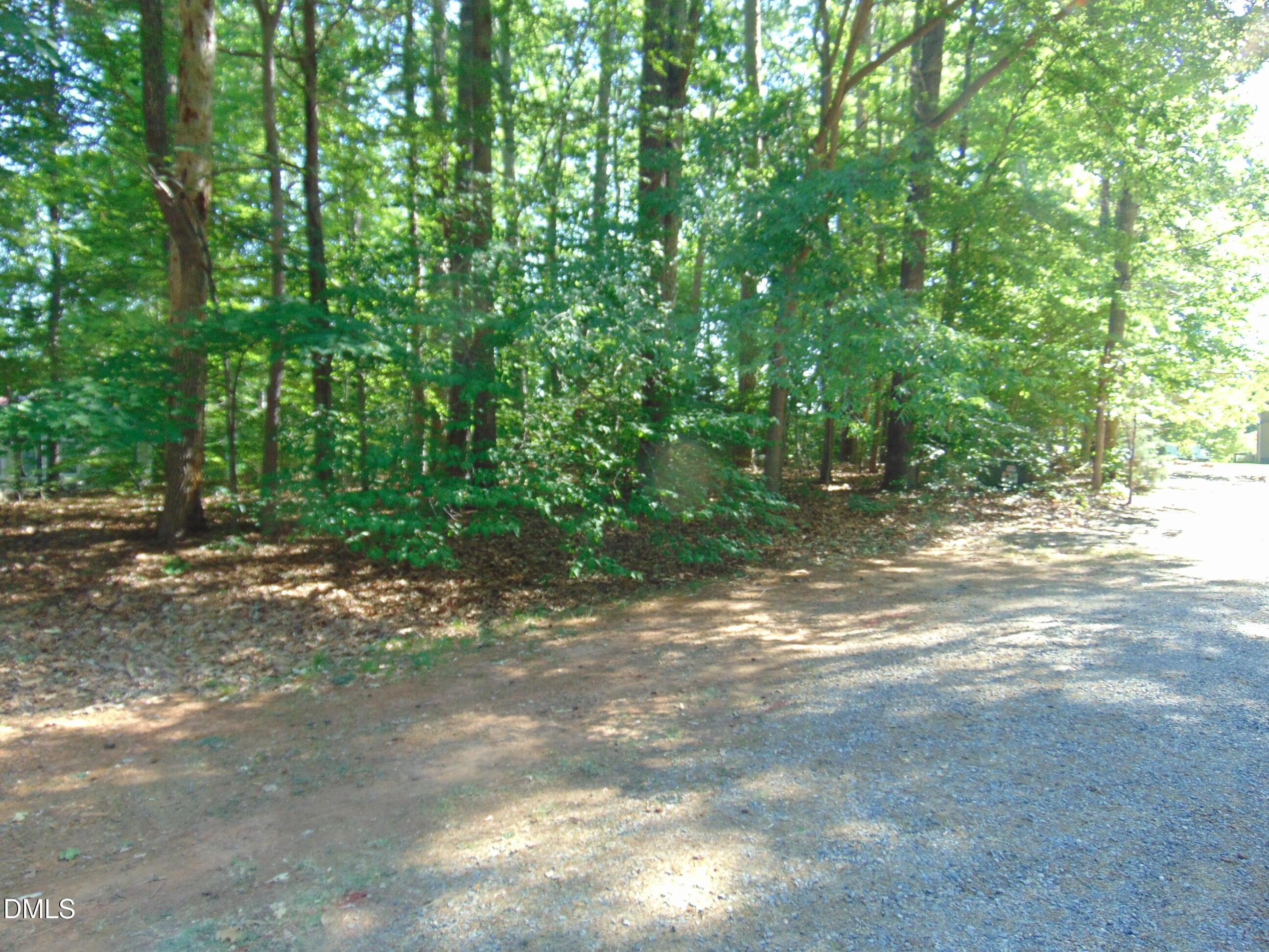 Image 2: DSC02992