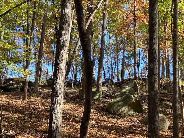 Image 2: rocks 2