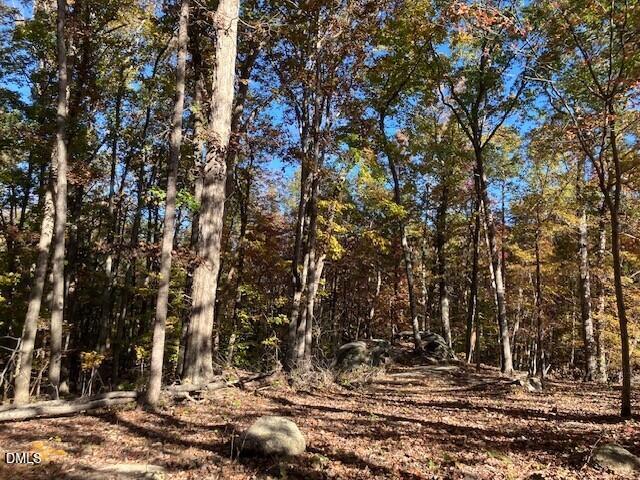 Image 3: Lot 9 Ph 3