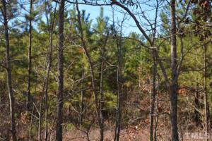 419 John Robert Headen Road
