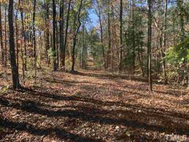 109 Lakestone Estates Drive