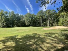 490 Mountain Laurel