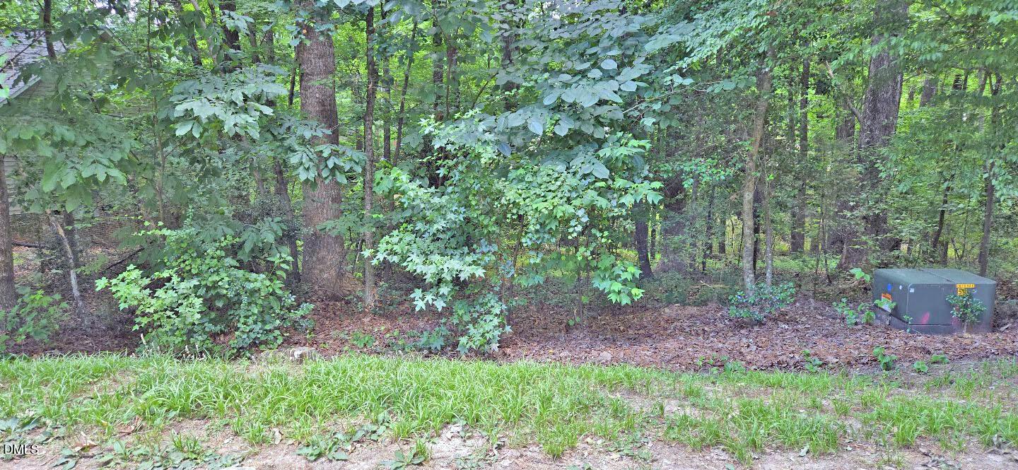 Image 3: Front Pic 2