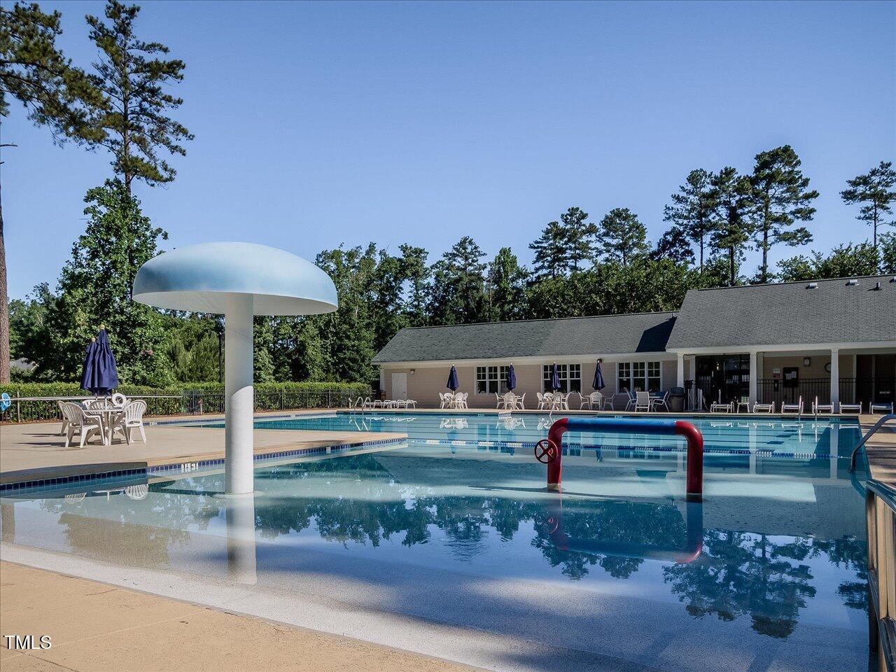 Image 4: 094-Pool-Zero Depth Entry - The Preserve