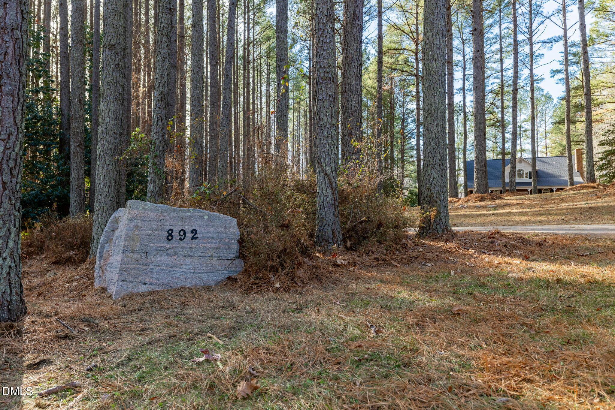 Image 3: Driveway