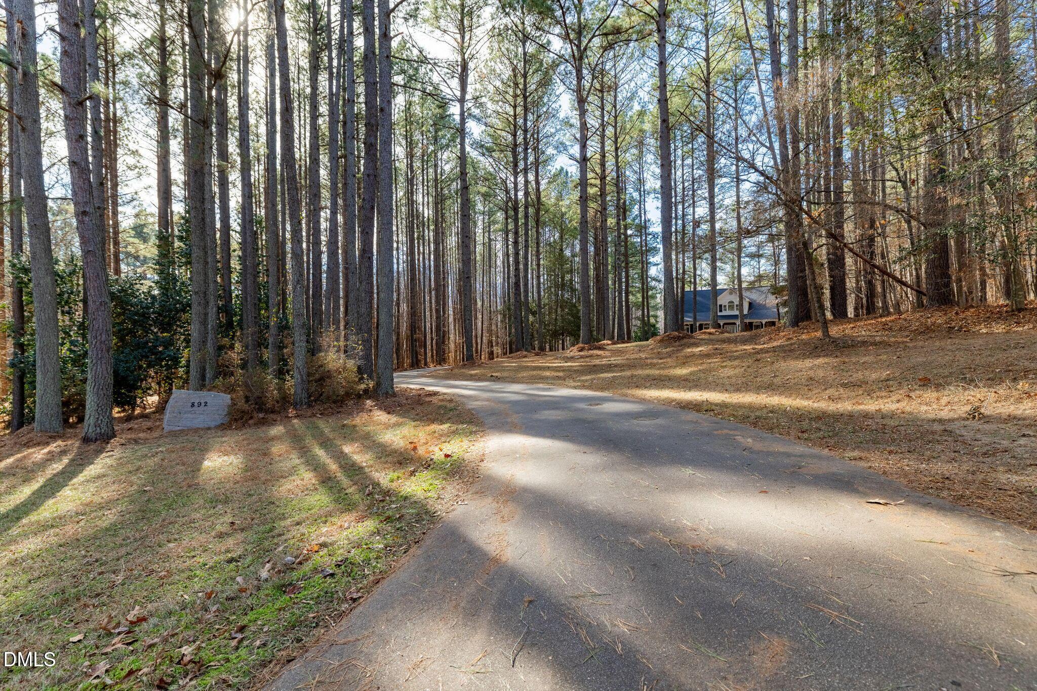 Image 4: Driveway