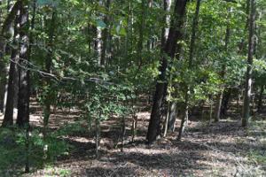 334 Deer Run