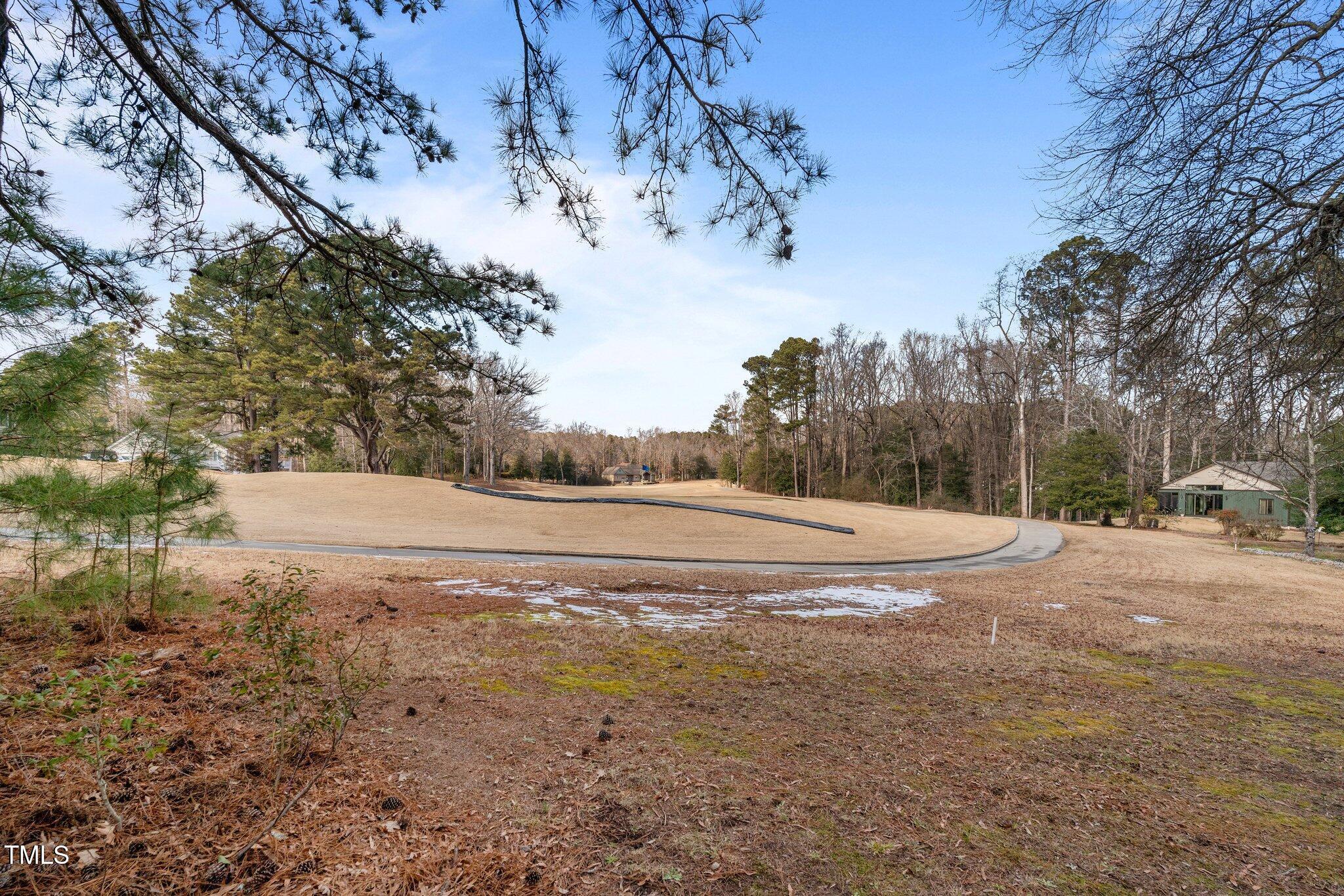 Image 3: Golf Course Views in Rear
