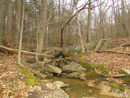 64.02 acres Gentry Ridge Road