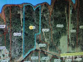 Tract A Pinesborough Estate Road