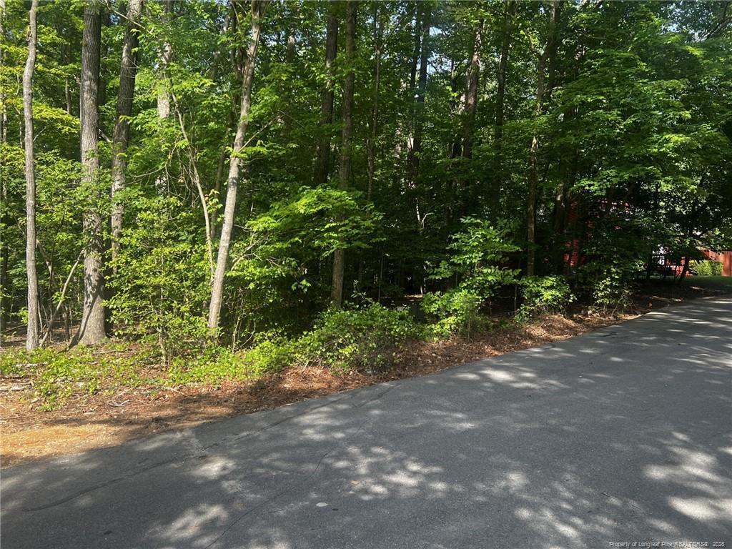 Image 3: Photo 3