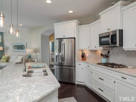 1646 Vineyard Mist Drive