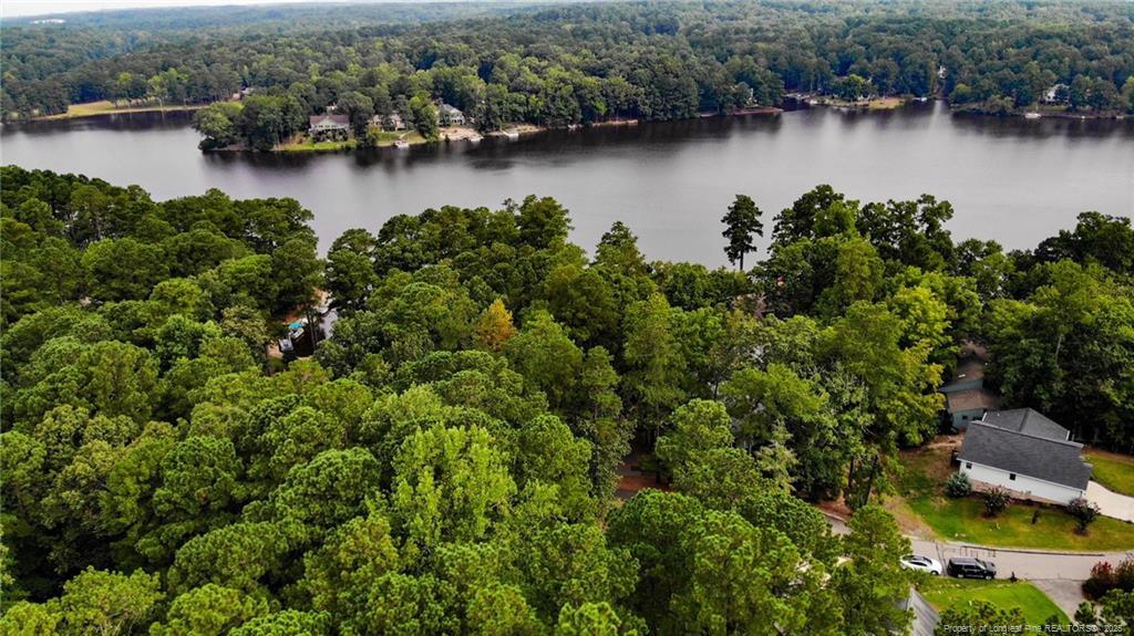 Image 2: Aerial View toward Lake Trace