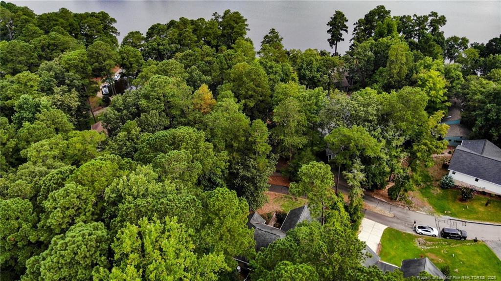 Image 3: Aerial View