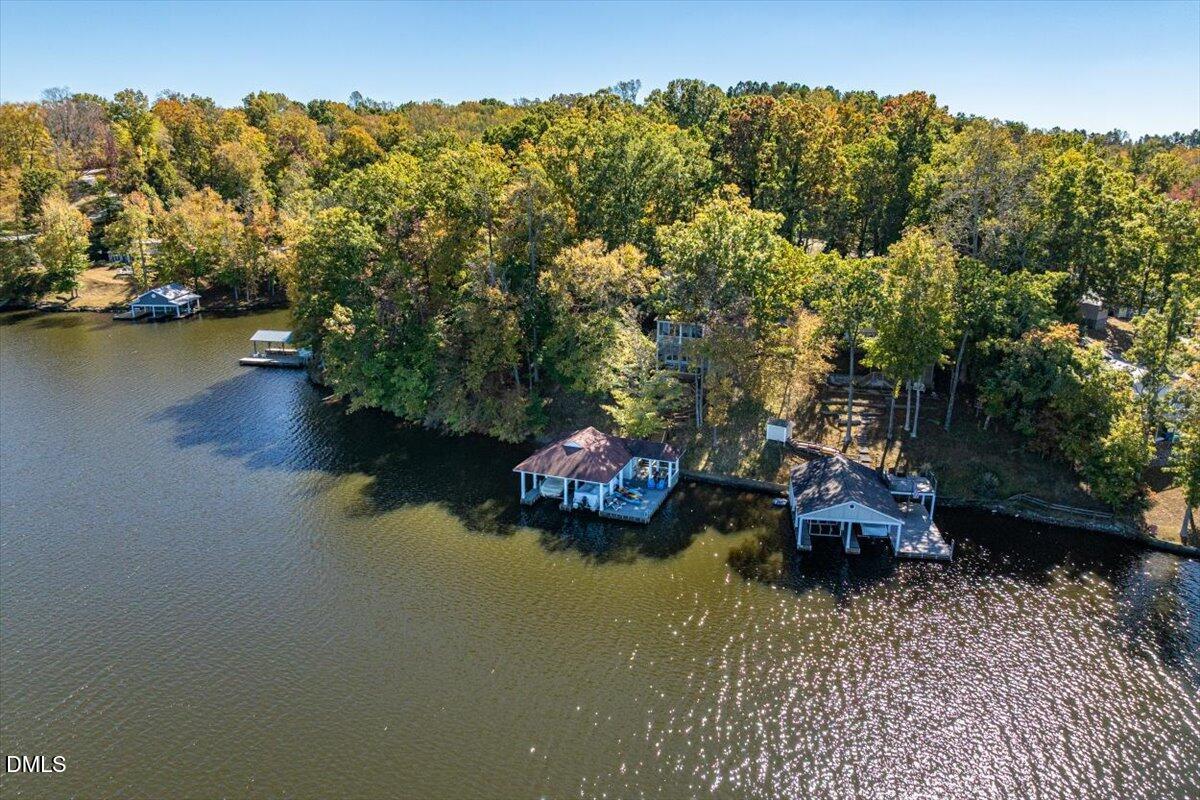 Image 4: 54-316 Bunny Rabbit-Drone 08