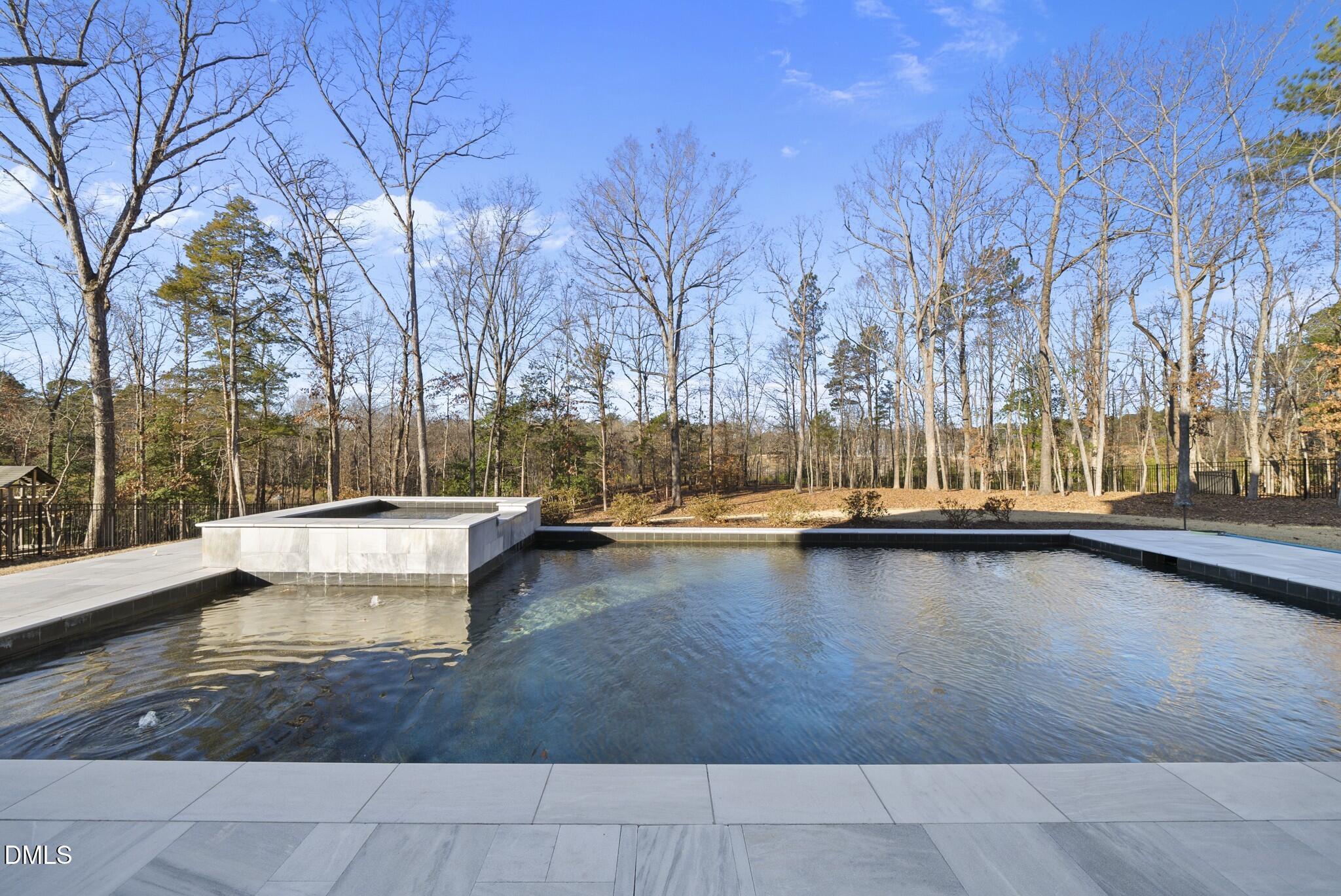 Image 4: Gunite Saltwater Pool