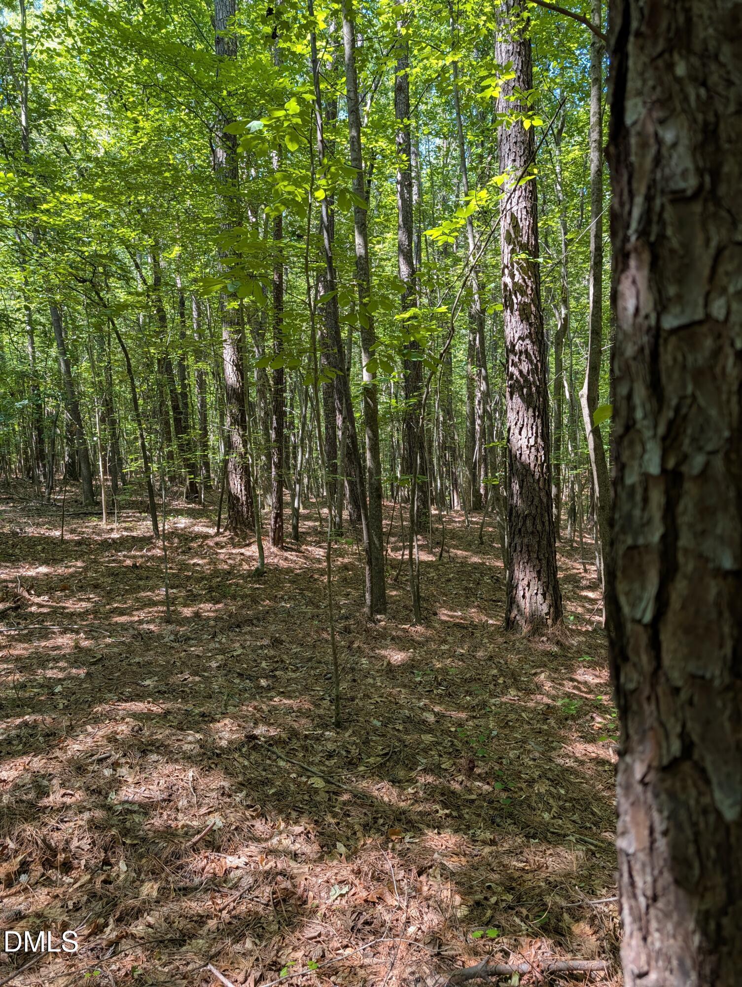 Image 2: PXL_20260612_145354139.MP