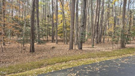 5209 Ginger Trail