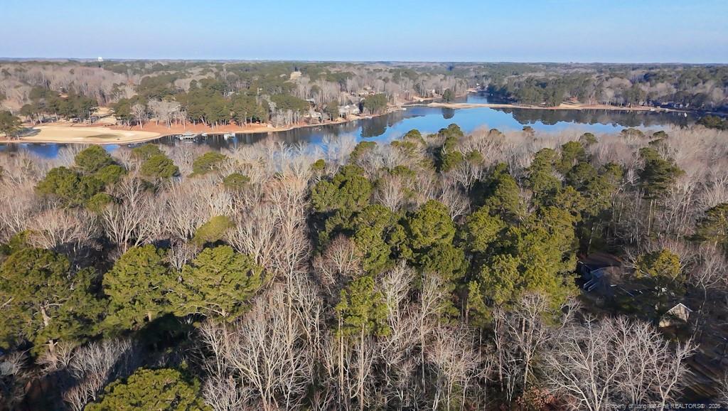 Image 2: Aerial View toward Lake and Golf Course