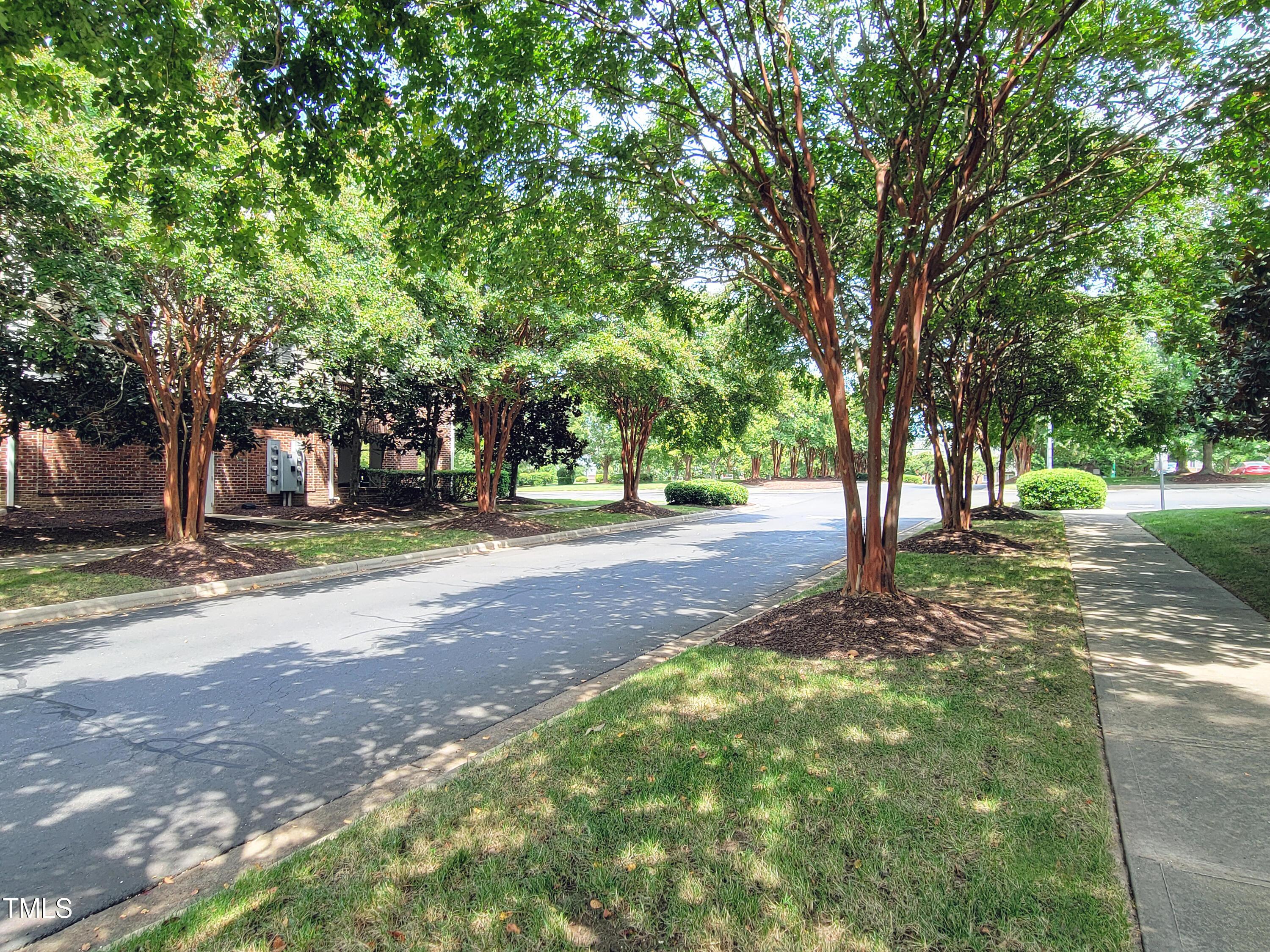 Image 3: Entry Drive