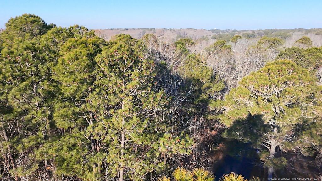 Image 4: Treetop View