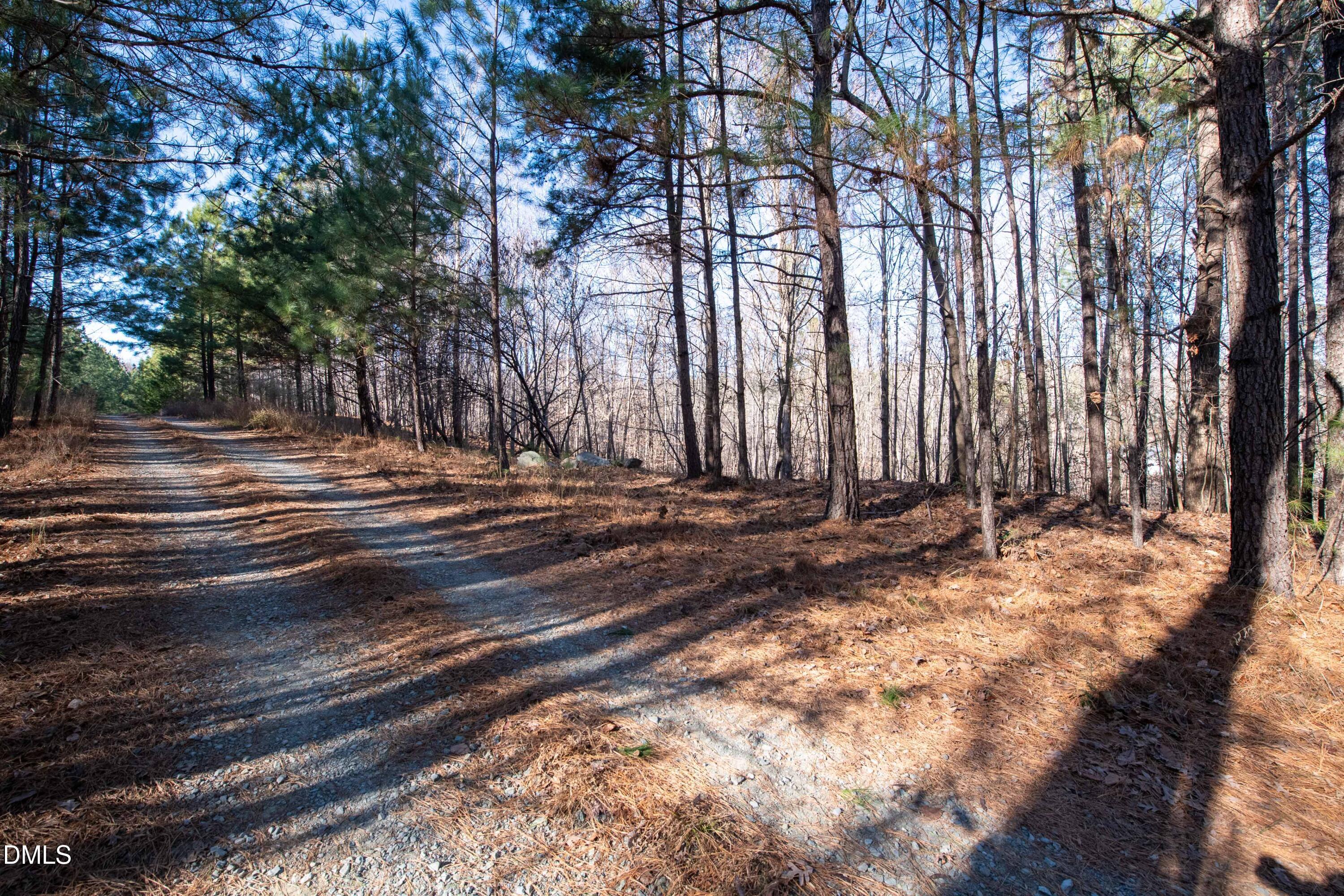 Image 3: 312 Bush Creek Lane_www.scalaphotograpy.