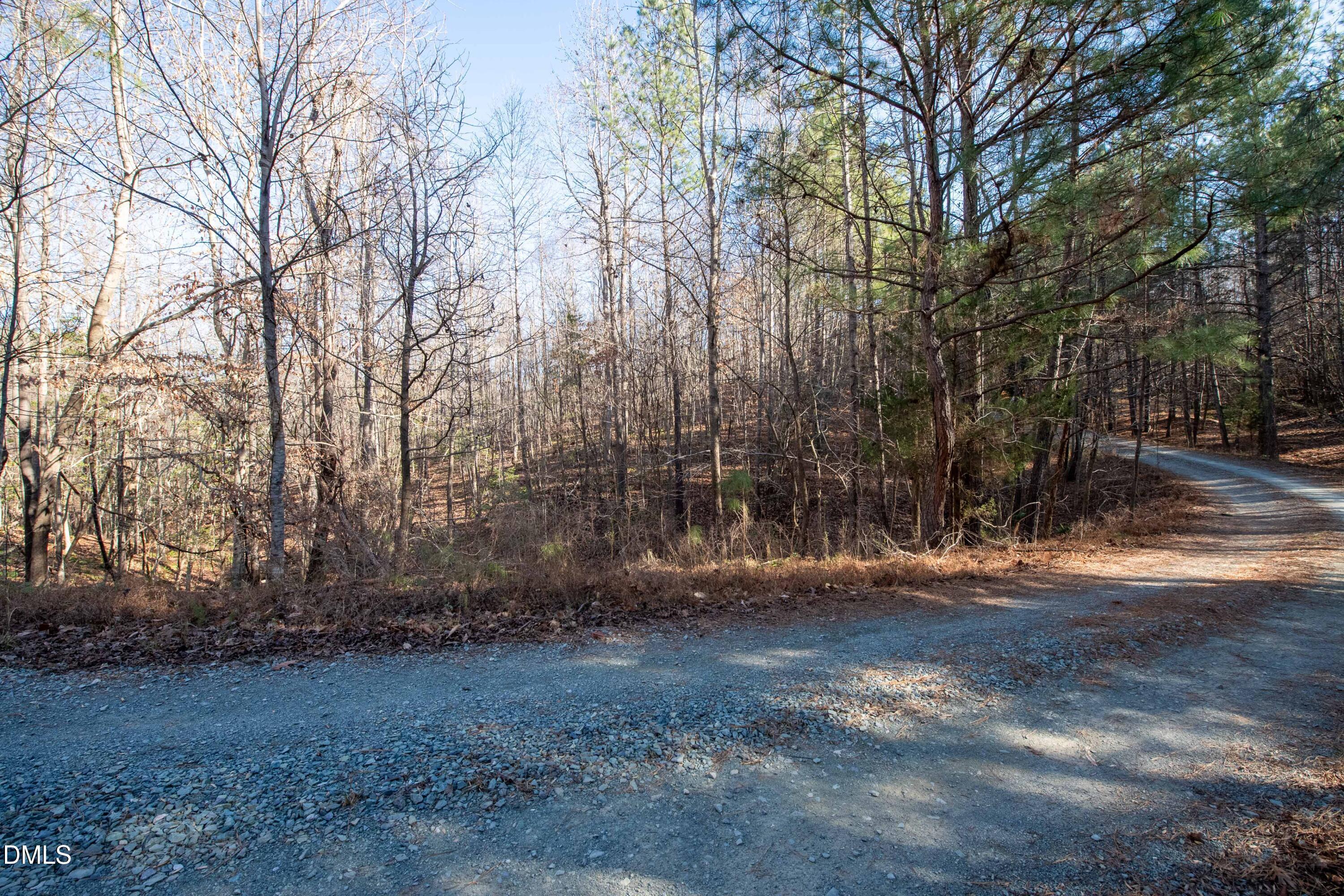 Image 4: 312 Bush Creek Lane_www.scalaphotograpy.