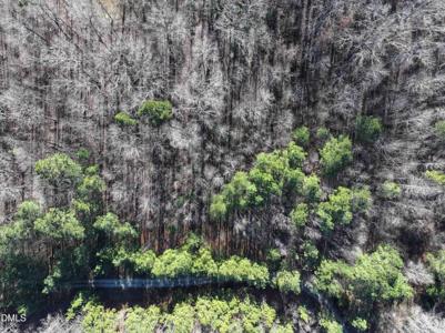 319 Bush Creek Lane