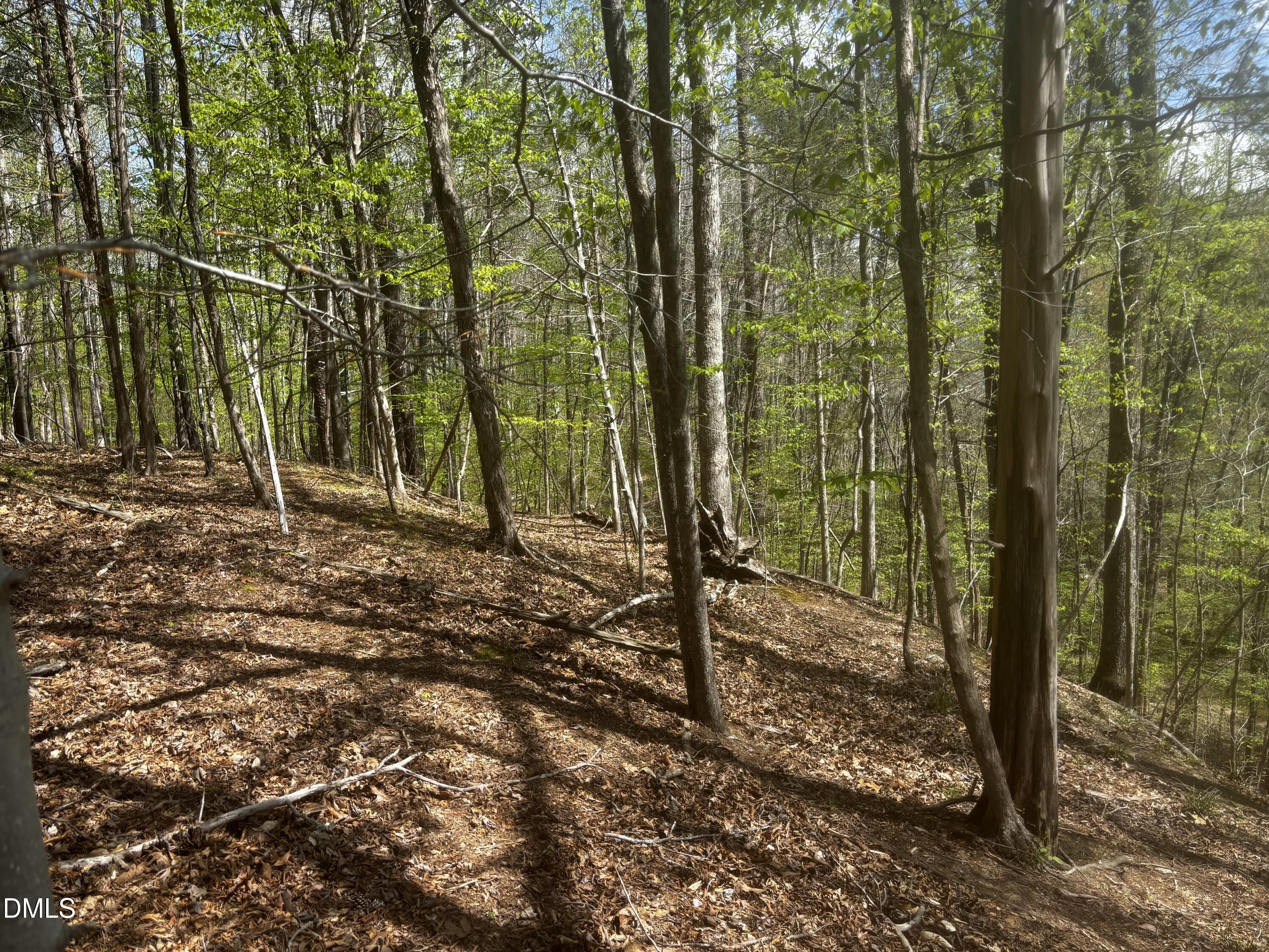 Image 3: IMG_0402