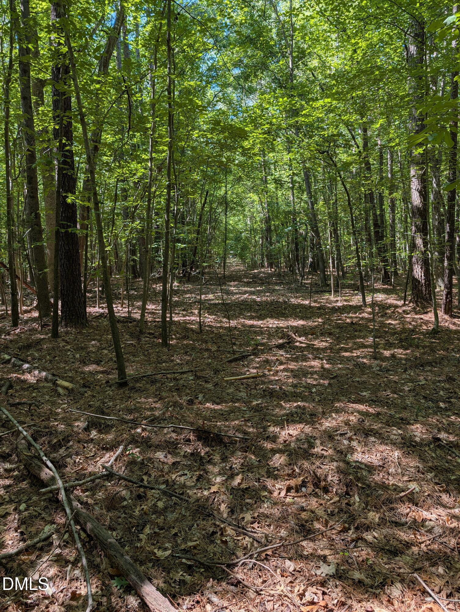 Image 4: PXL_20260612_145349368