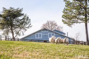 251 Whitetail Lane