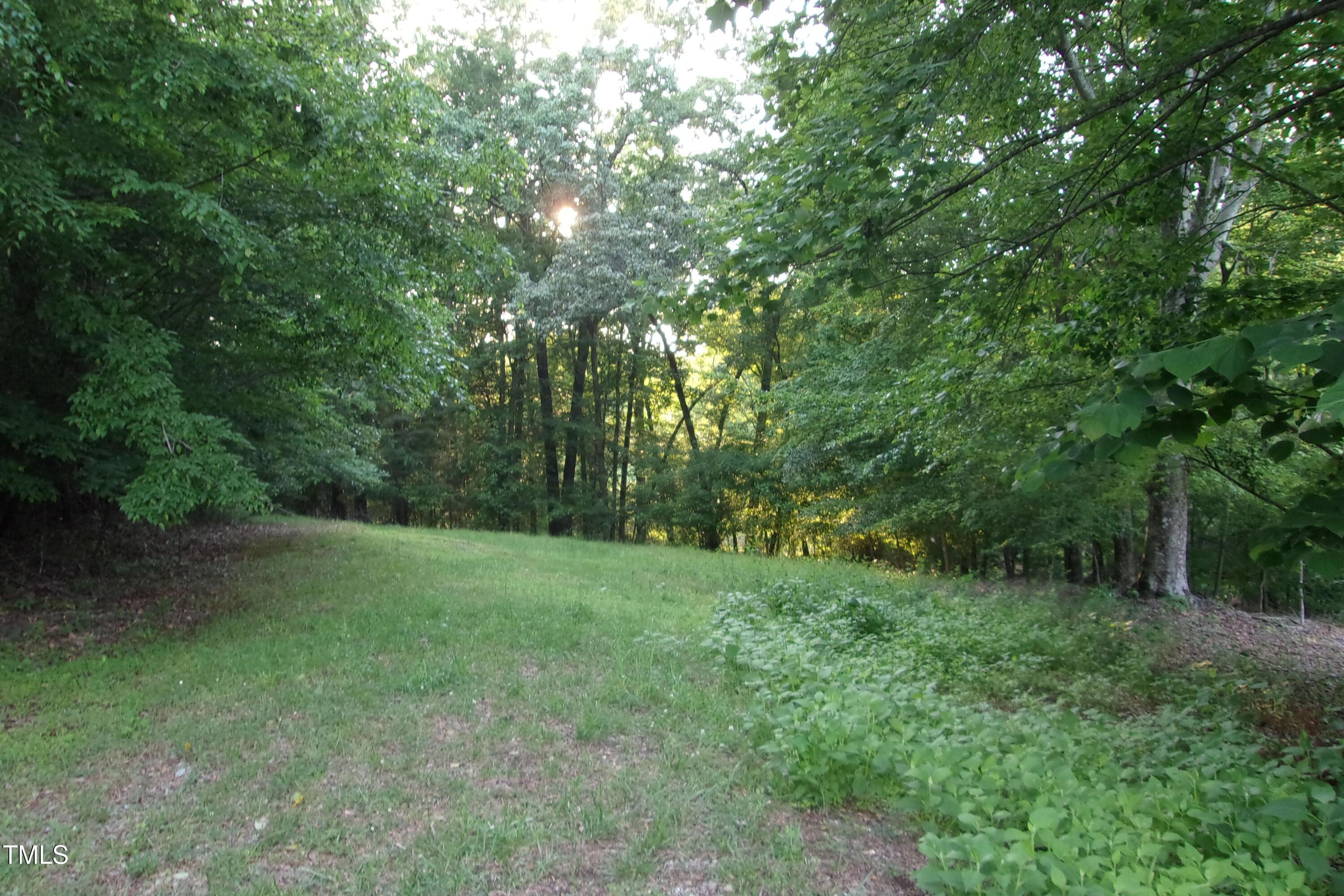 Image 3: junctionforks1