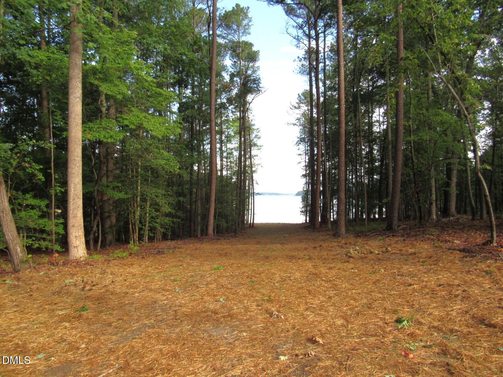 Image 3: lot 6 (1)