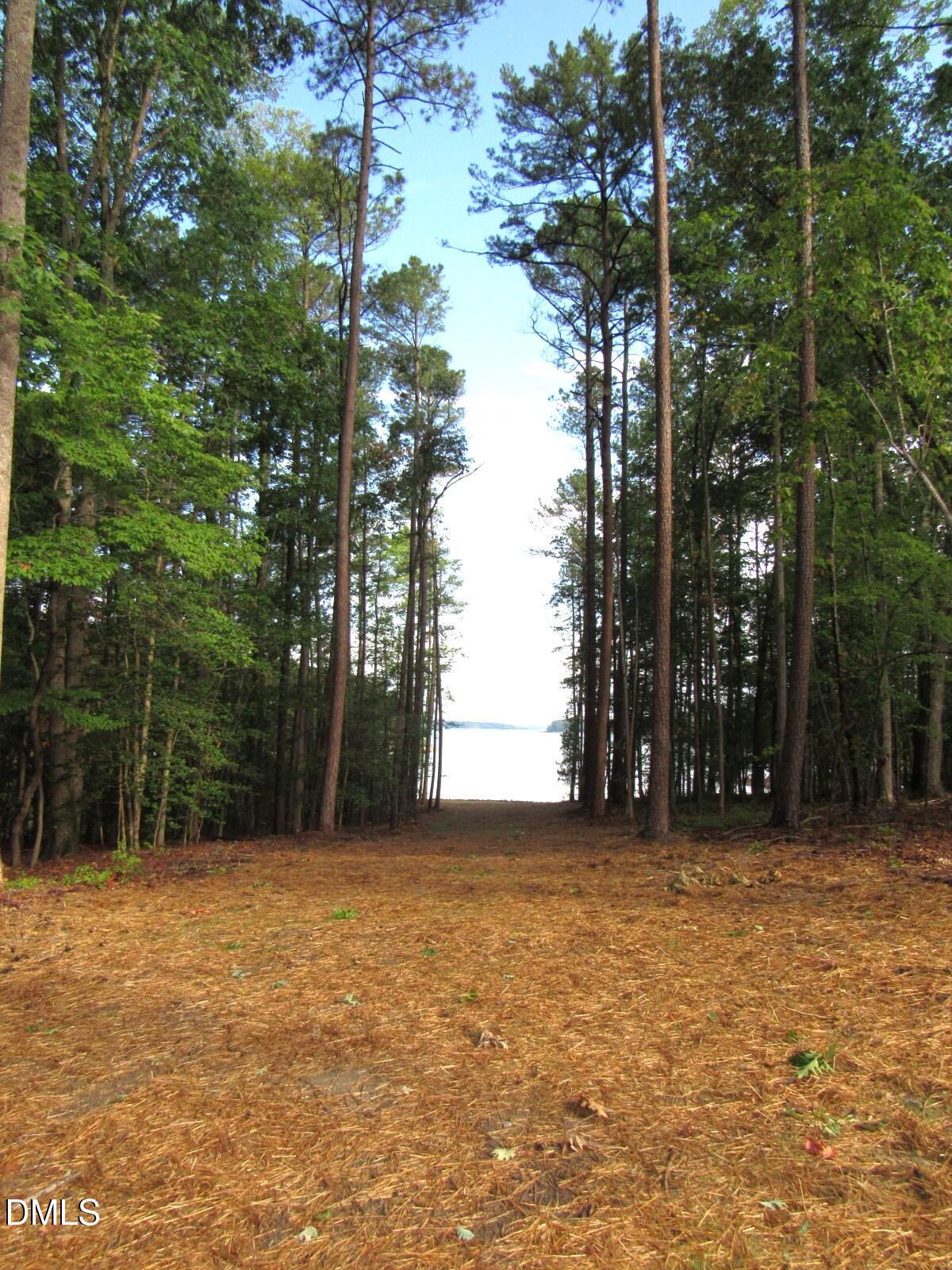 Image 4: lot 6 (2)
