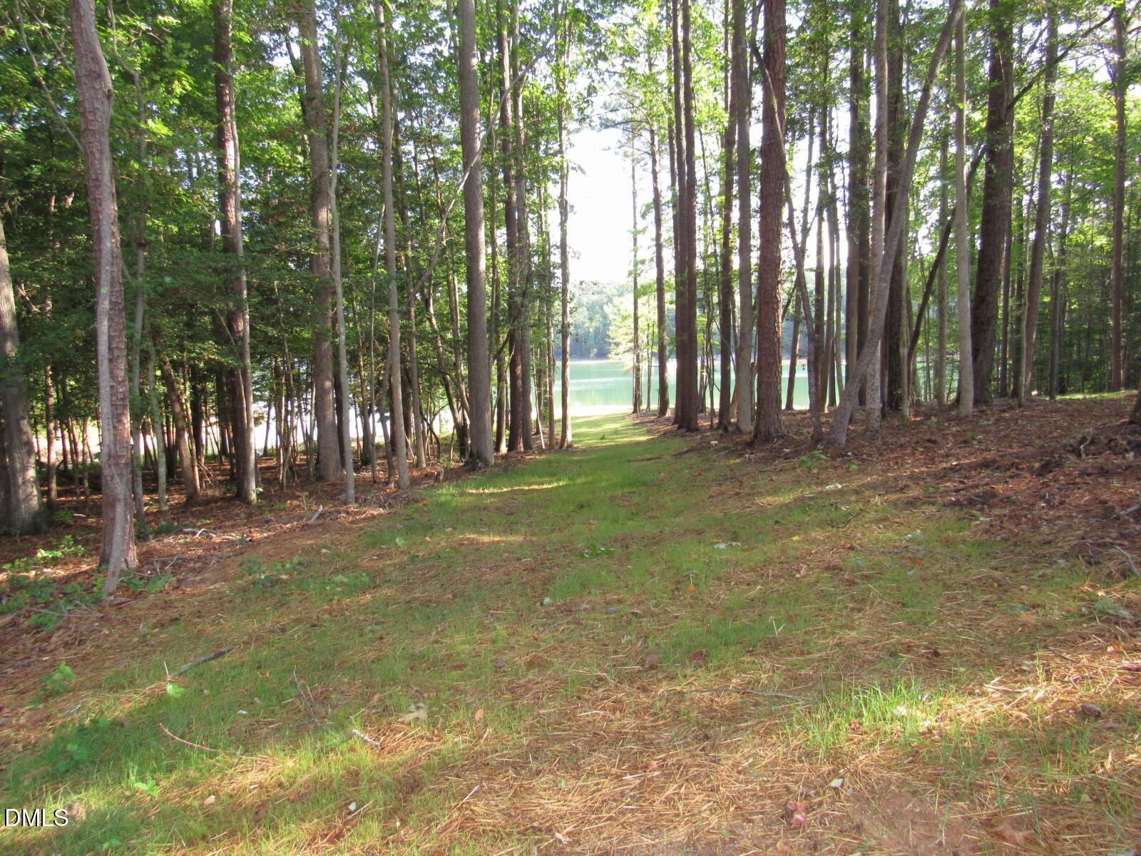 Image 3: lot 15 (1)