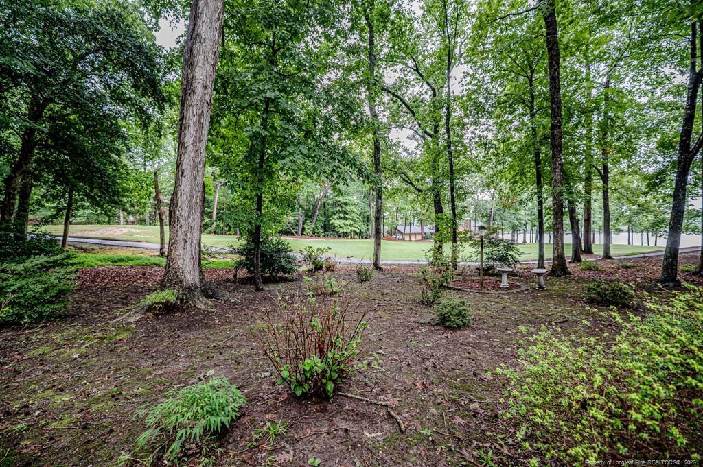 Image 4: Backyard to Golf Course