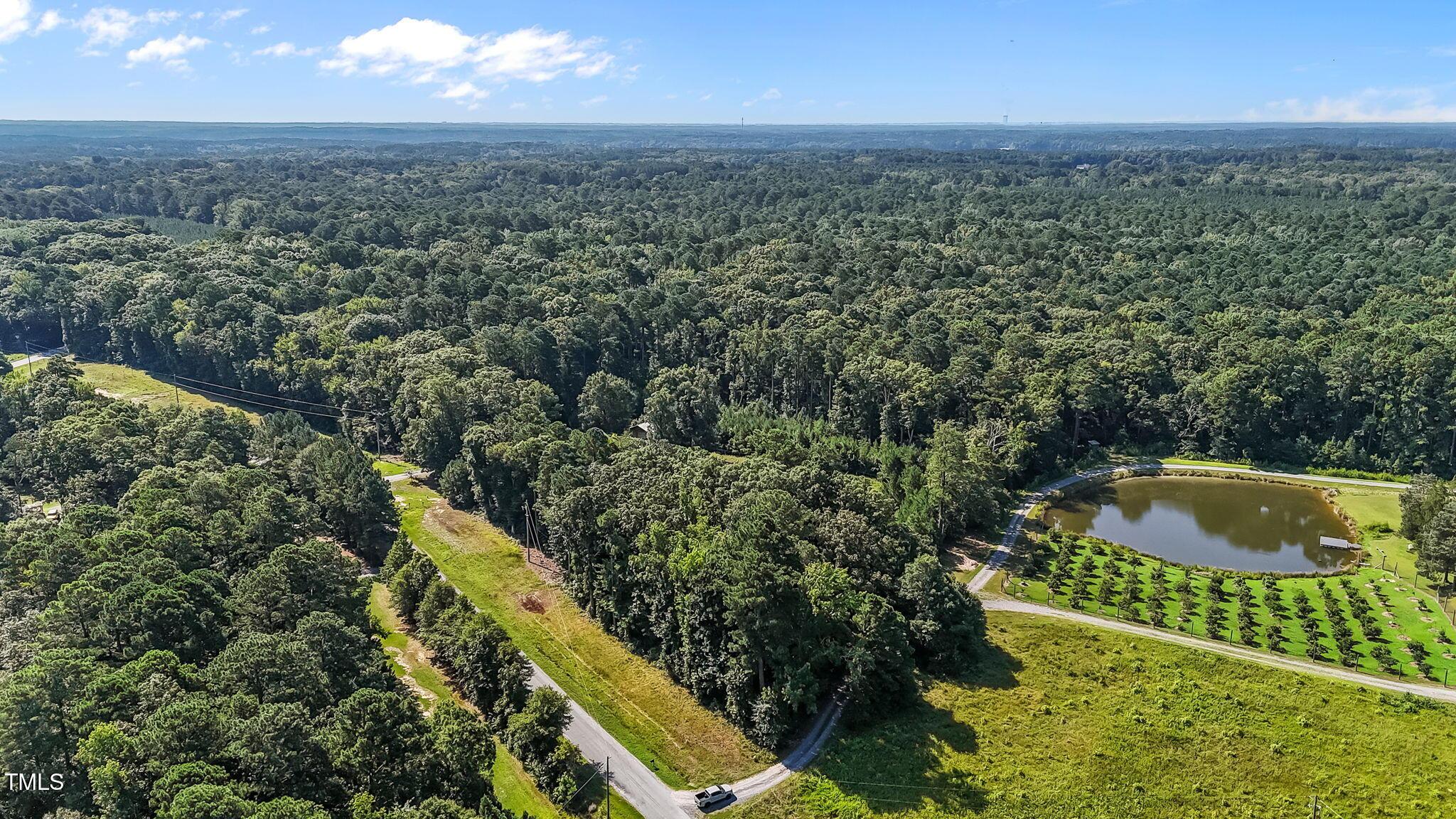 Image 4: 4-web-or-mls-DJI_20250714102239_0268_D