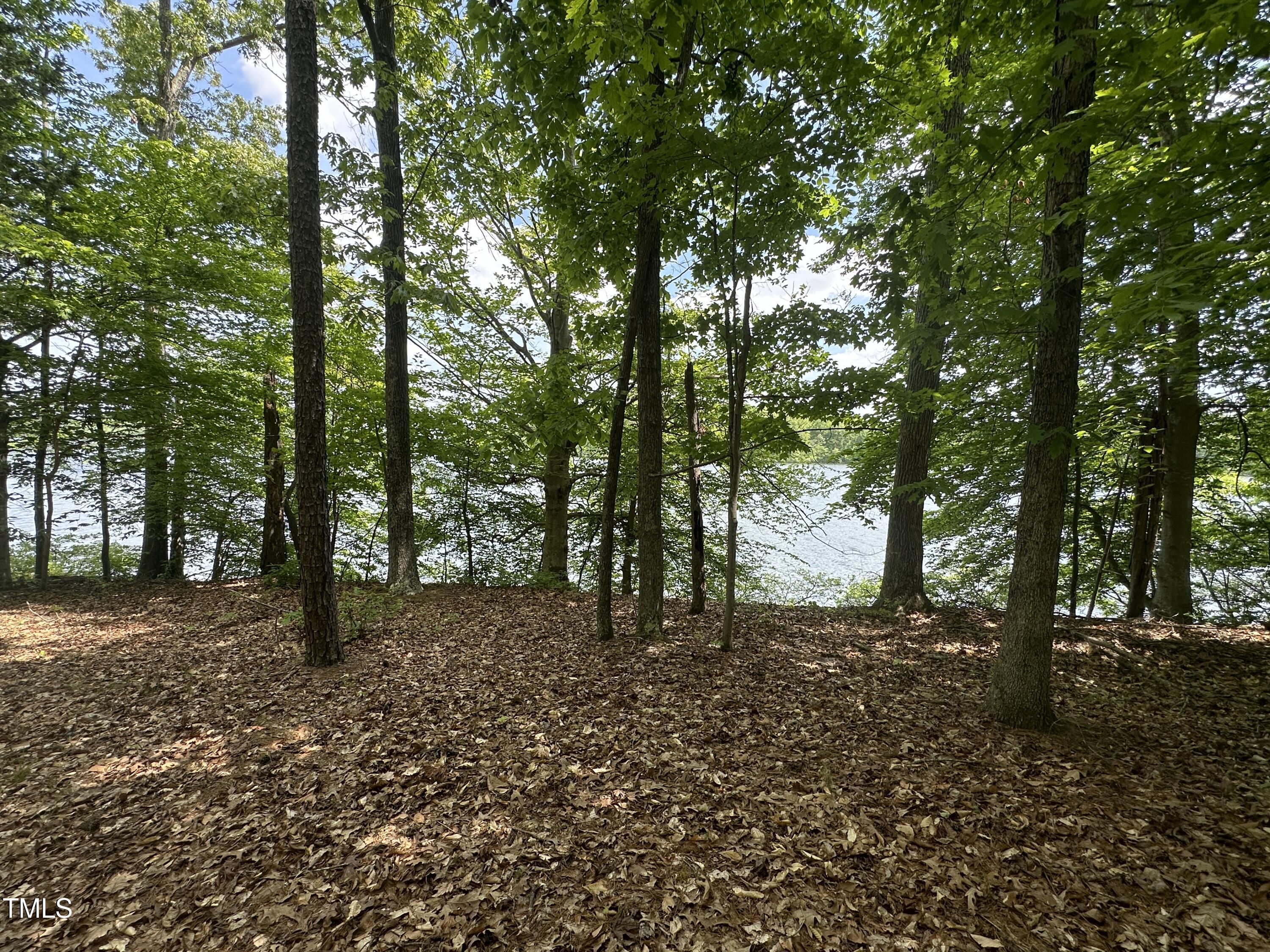 Image 4: IMG_5637