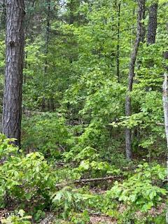 Image 3: IMG_5618