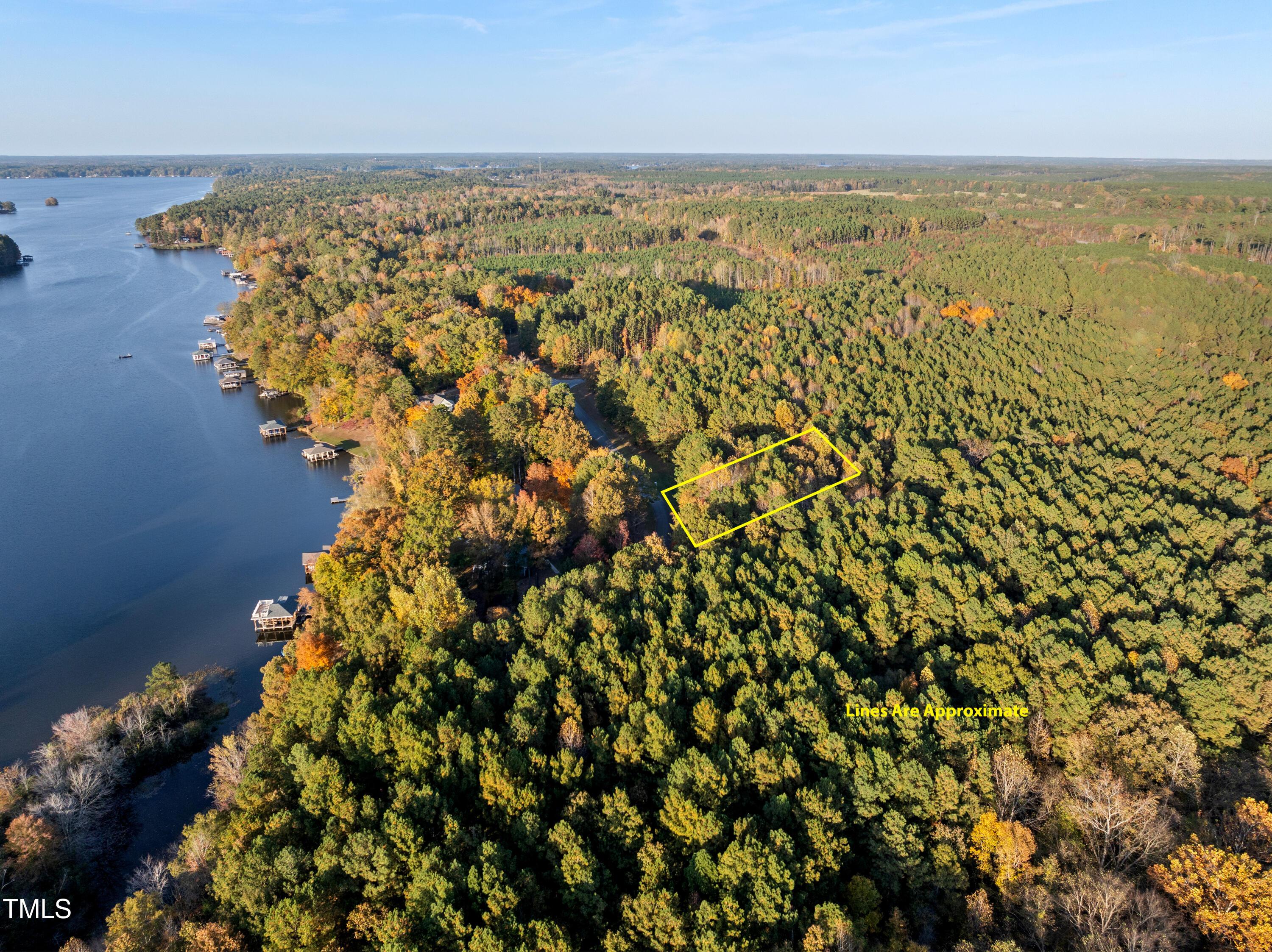 Image 1: DJI_20241031124609_0358_D with lines
