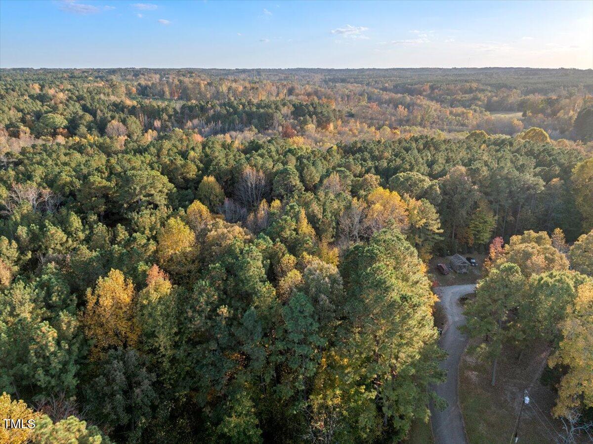 Image 3: 04-DJI_20241031124401_0336_D
