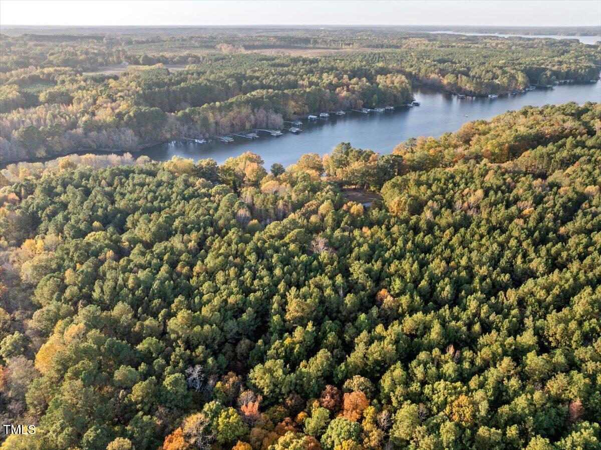 Image 4: 06-DJI_20241031124502_0348_D