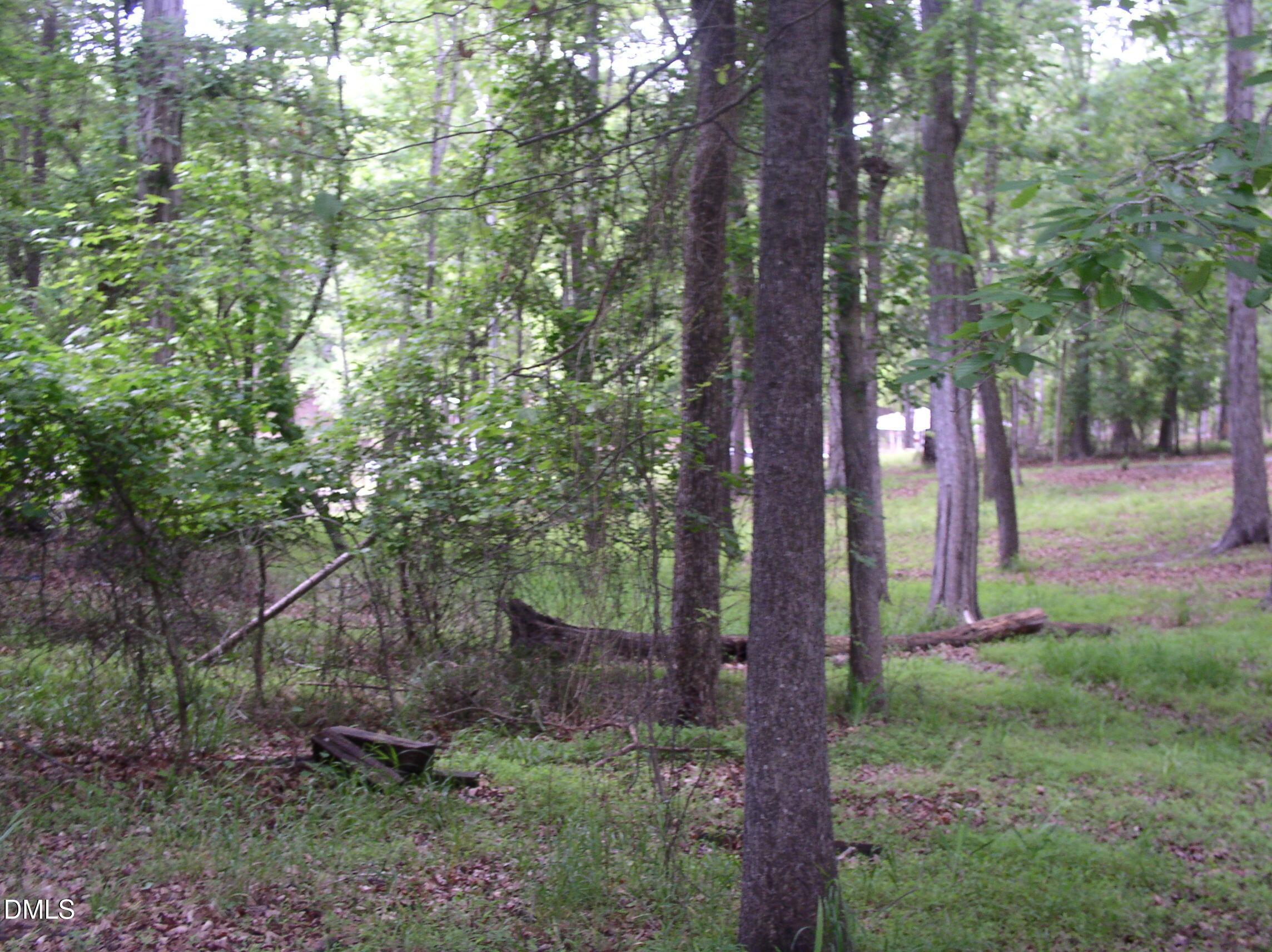 Image 2: P1010013