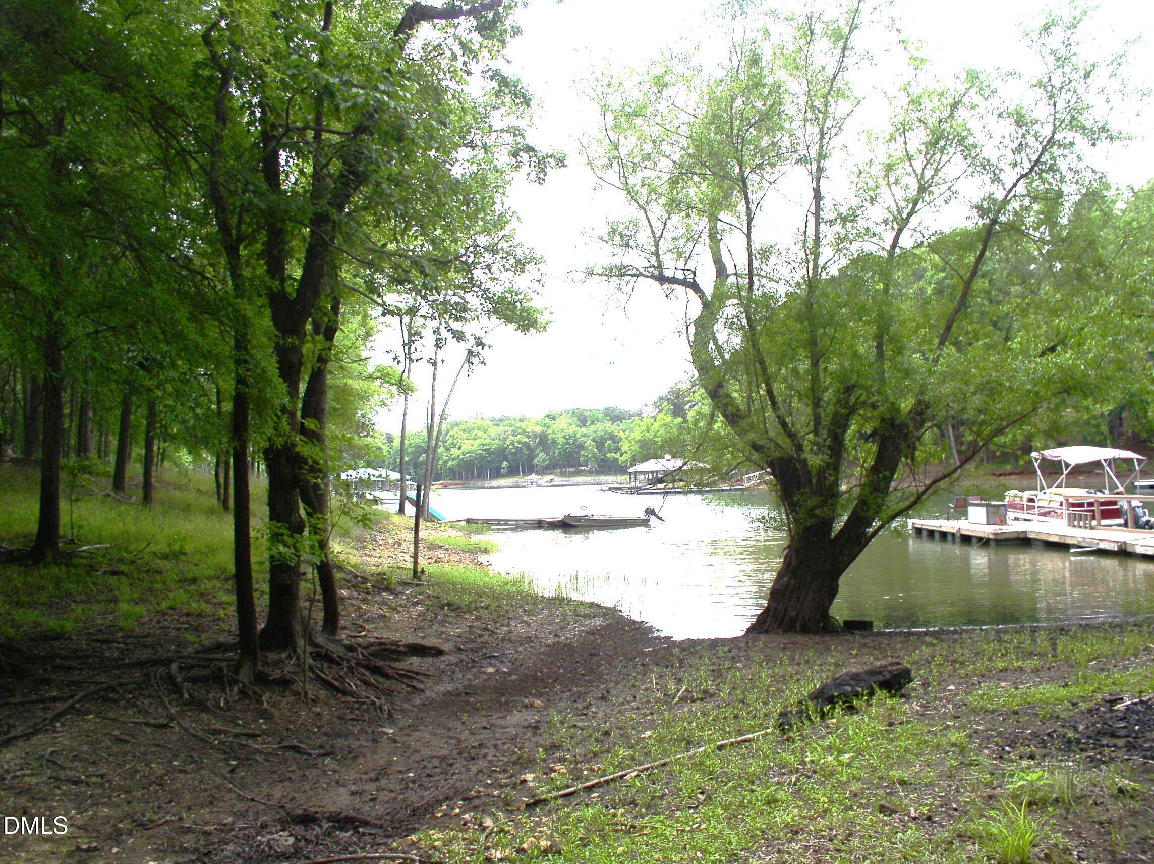 Image 3: P1010014